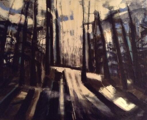 Forest Path Contrast
